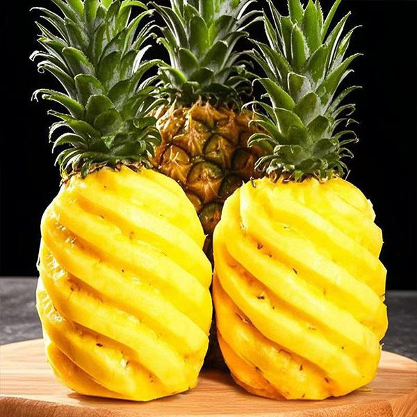 菠萝-2.jpg